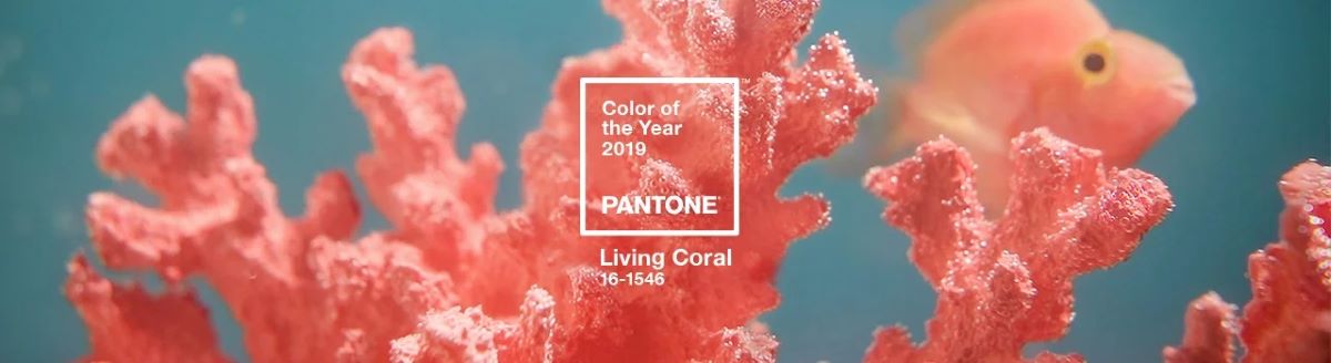 Living Coral bola farbou roka 2019